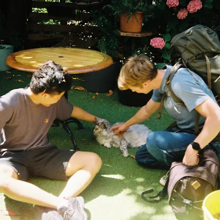 Ani&haakien Hostel