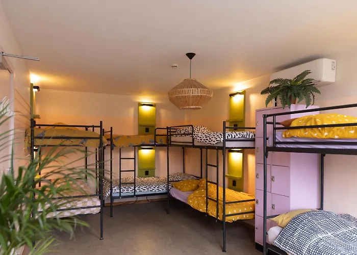 Vandrerhjem Ani&haakien *