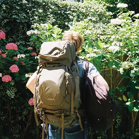 Ani&haakien * Rotterdam