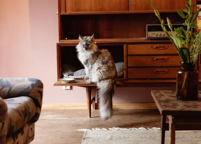 Ani&haakien Hostel Rotterdam