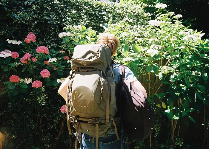 Ani&haakien * Rotterdam