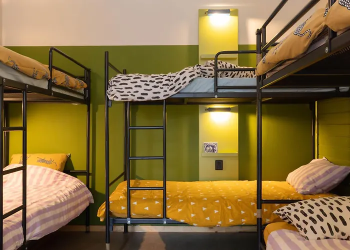 Ani&haakien Rotterdam