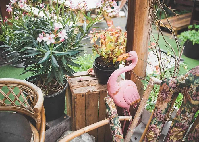 阿尼&哈克恩旅馆 旅馆